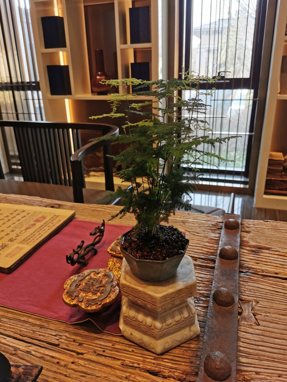 酒店(diàn)植物(wù)租摆案例