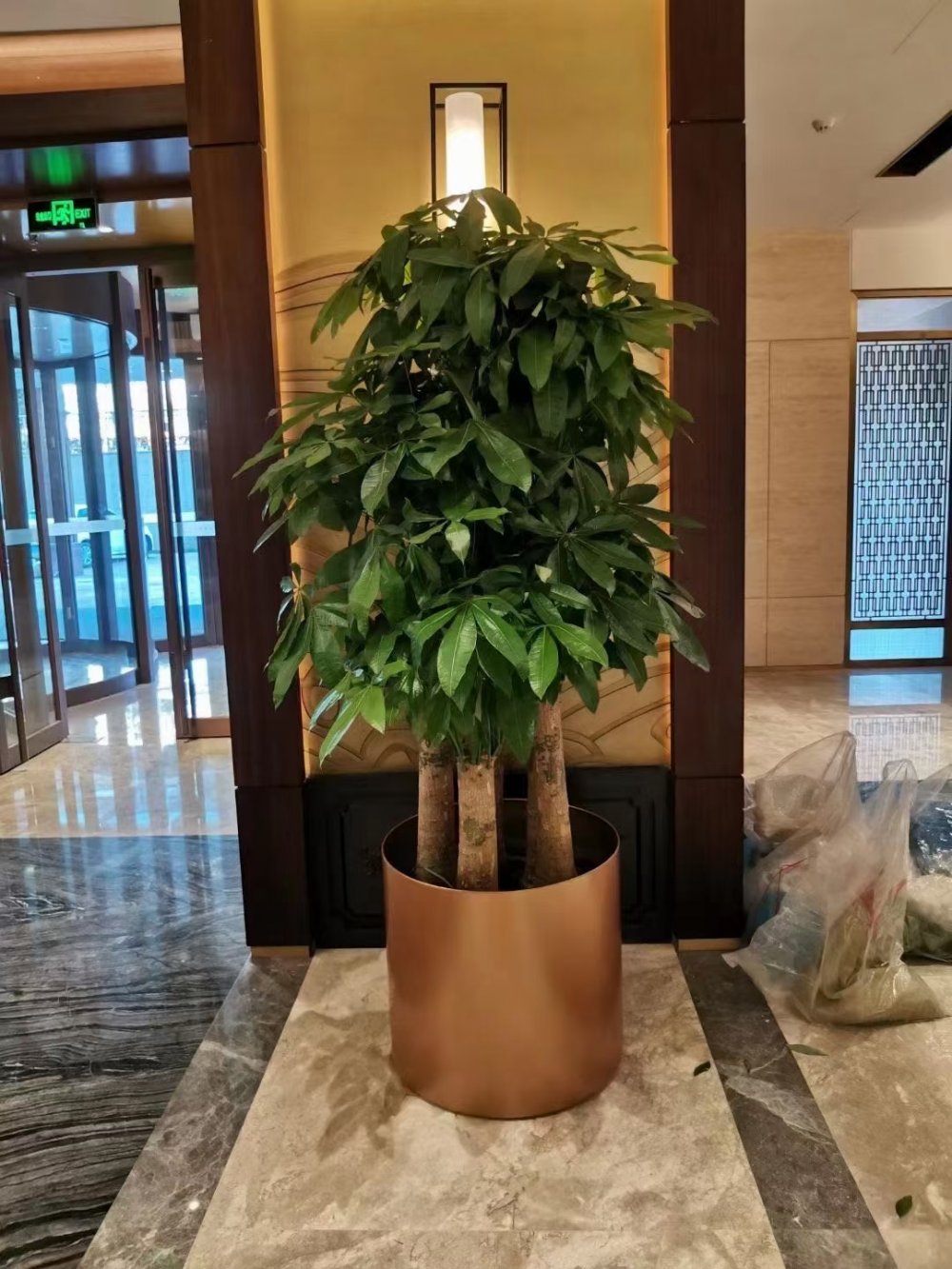 酒店(diàn)植物(wù)租摆案例